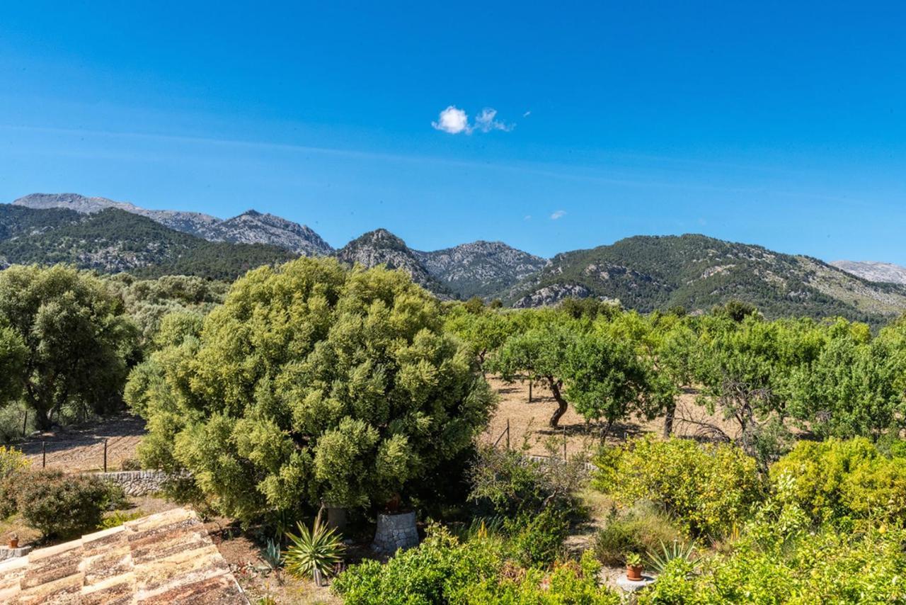 Finca Son Arnau 塞尔瓦 外观 照片